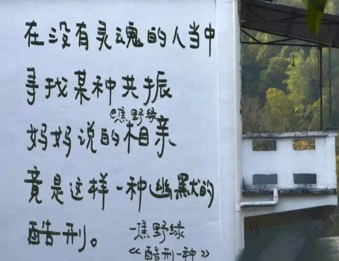 在相亲这个传统战场上，95 后正悄然发起一场 “反向革命”。过去，相亲往往被视为