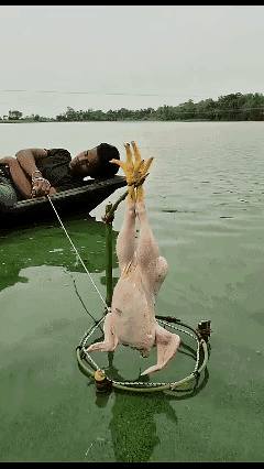 懒人捕鱼法
开眼界！[泣不成声]
涨知识！👍