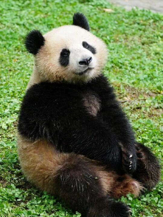 有点不好意思