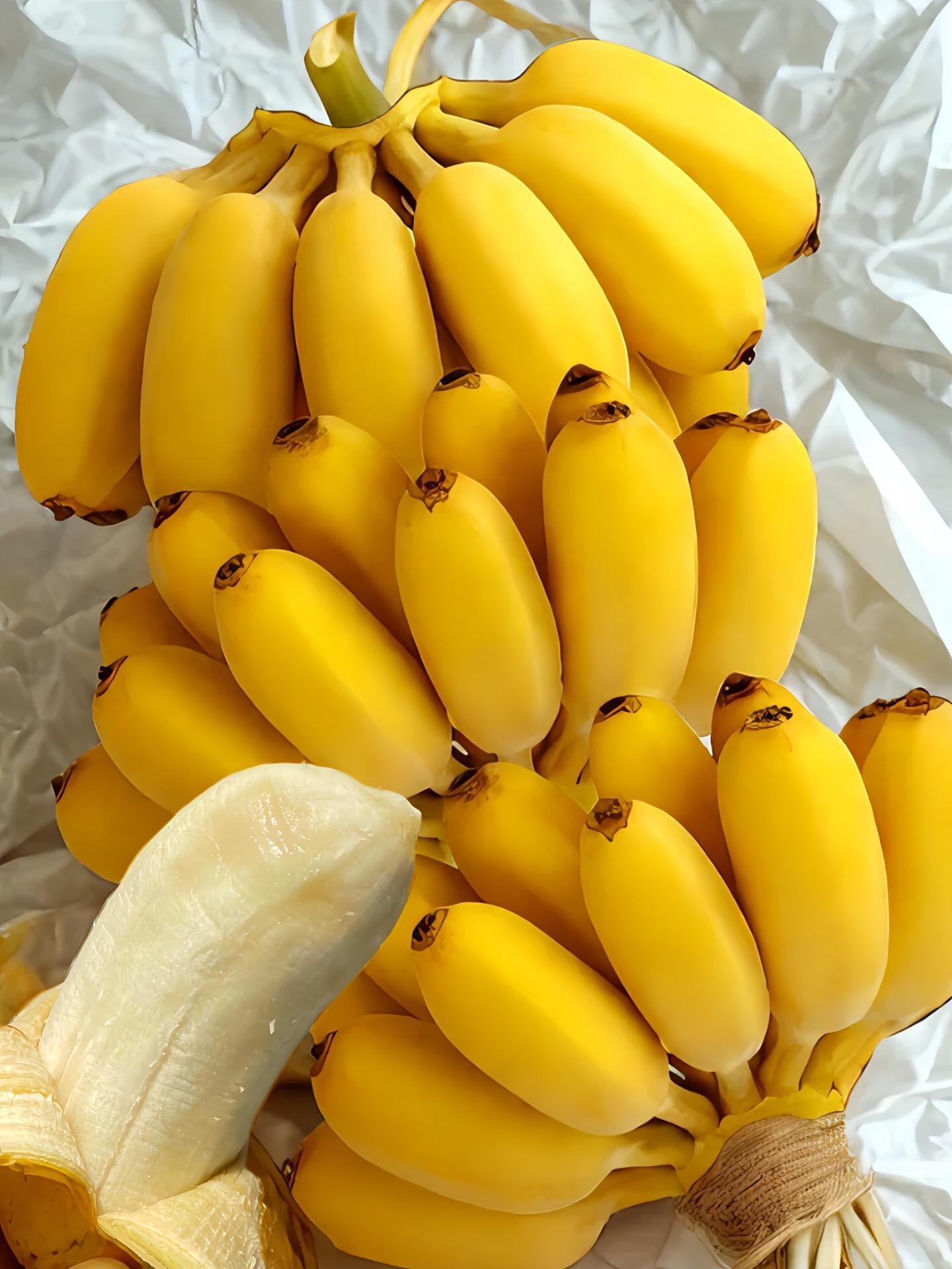 随手买的广西苹果蕉，想不到这么好吃，不愧是香蕉届的冰淇淋！香甜在口中散...