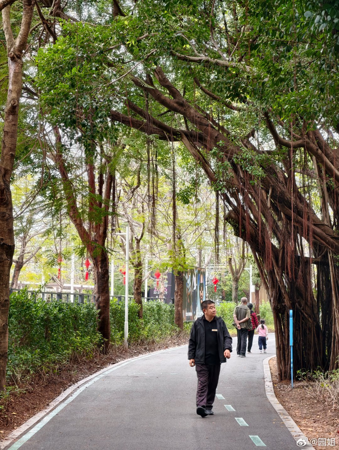 刚下过雨的深圳温度适宜太舒服了