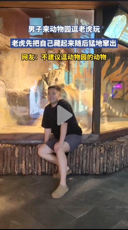 千万不要以为老虎进了动物园就是小猫，它的本能和本性是消失不了的。看到猎物，它也知