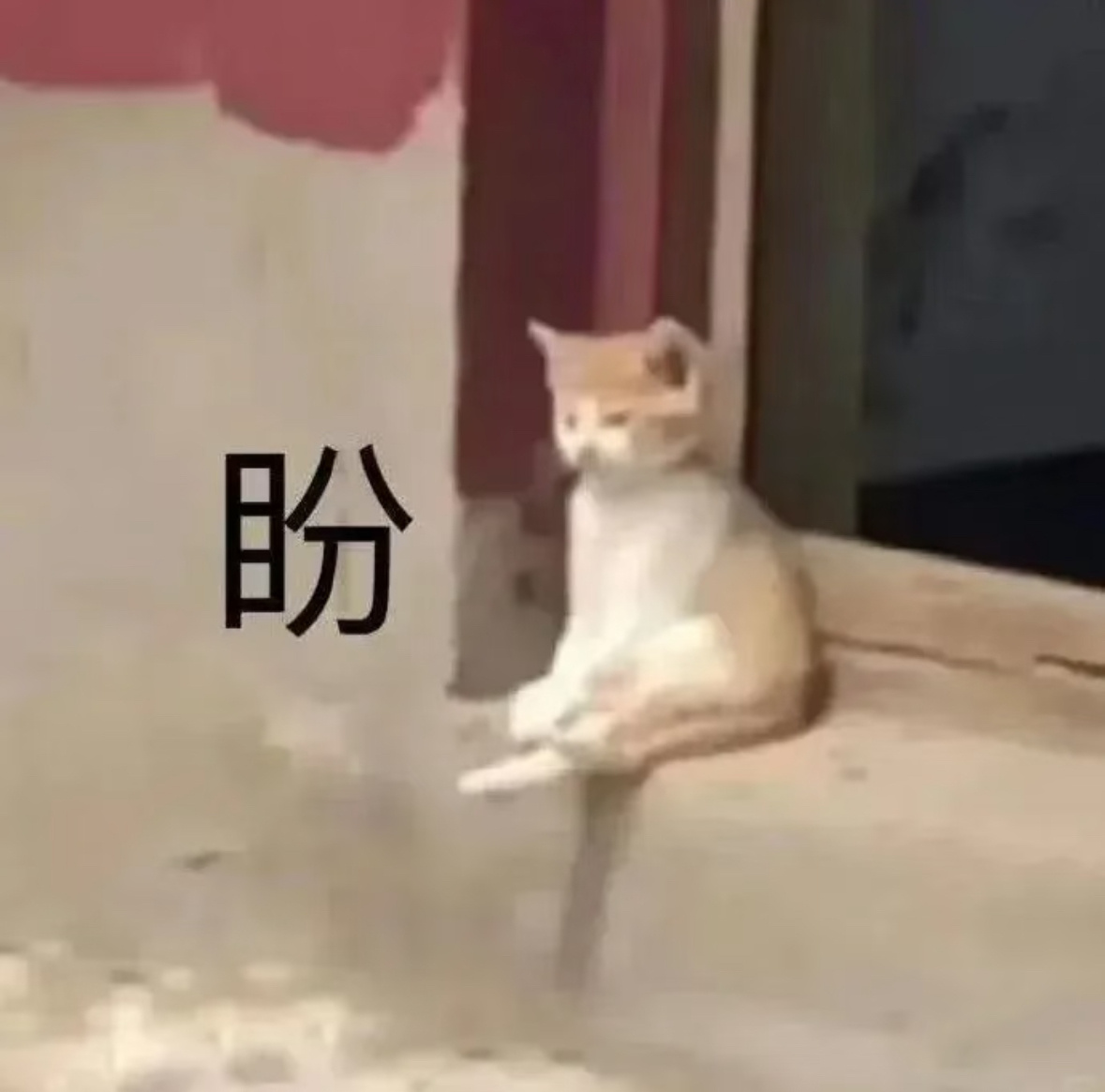 分享图片 