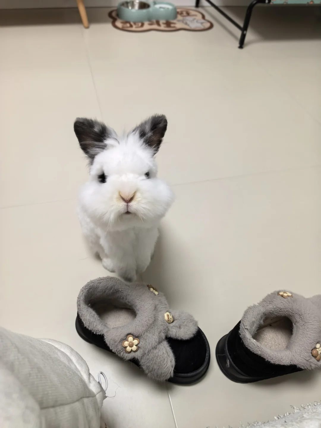 今天也是可爱的小老头