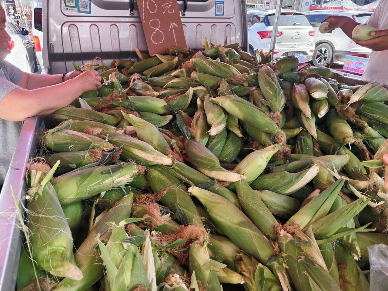哇噻，在运城盐湖西街早市，软糯的玉米竟然卖10元8个，较前几天便宜了很多。前几天