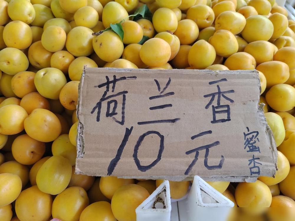 荷兰香杏：近日烟台市场上大量荷兰香上市，初期上市20元一斤。

笔者在烟台市芝罘