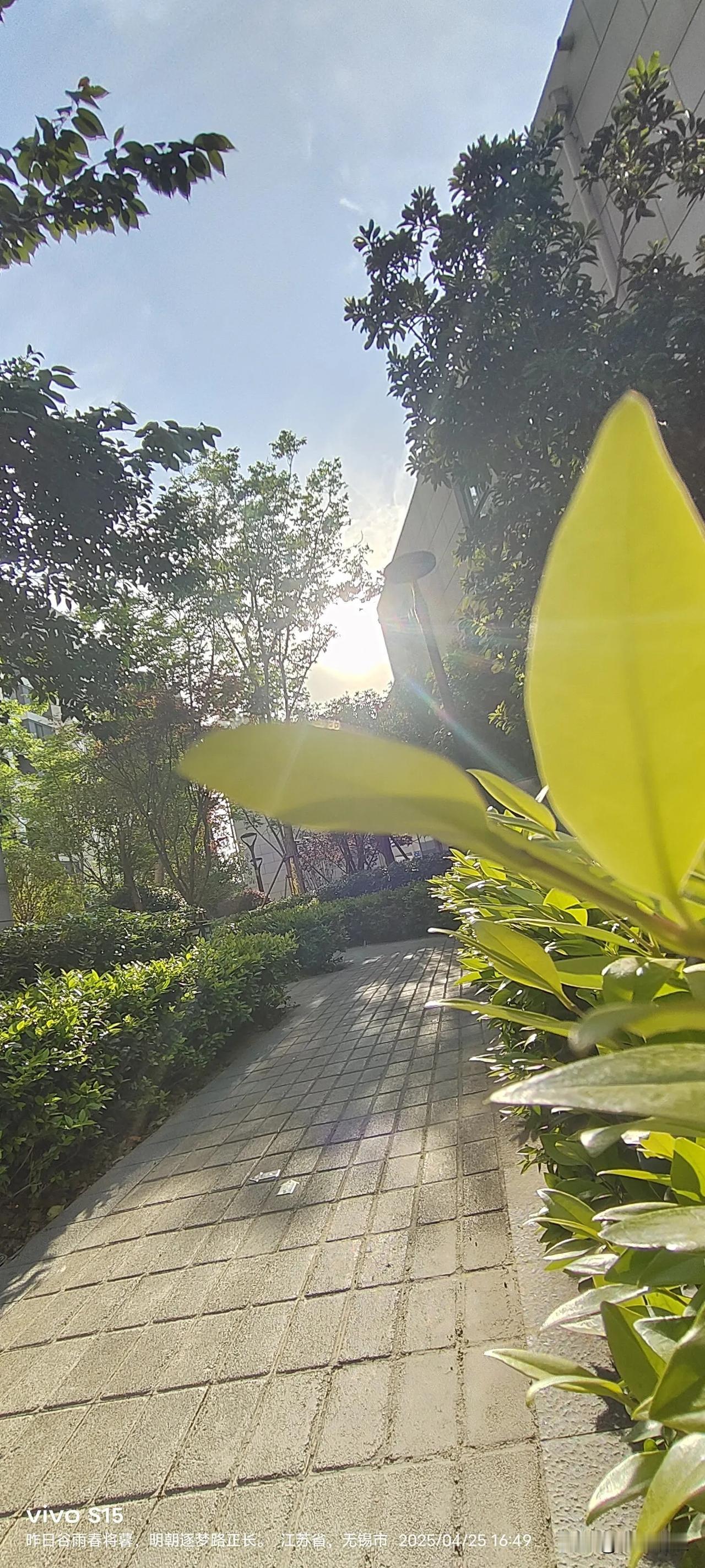 镜头里的春日暮色🌇
 
今日傍晚捕获一组温柔画面——
绿叶滤过的夕阳
在屋顶织