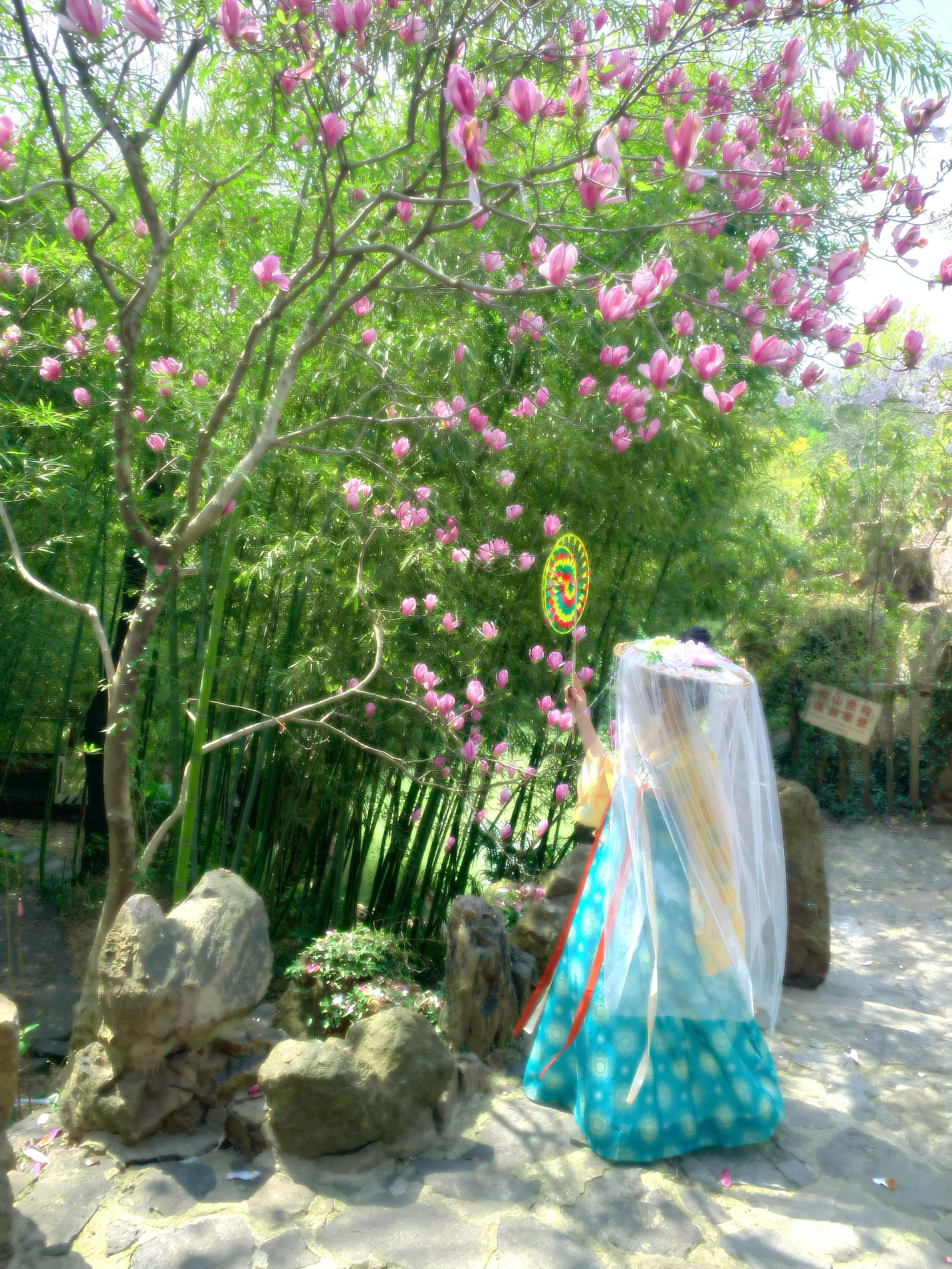落花时节又逢君