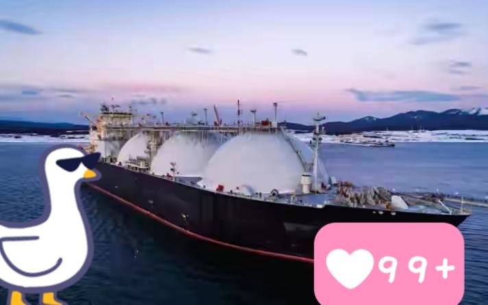 乌克兰国家石油天然气公司董事会主席表示了！

乌克兰国家石油天然气公司董事会主席