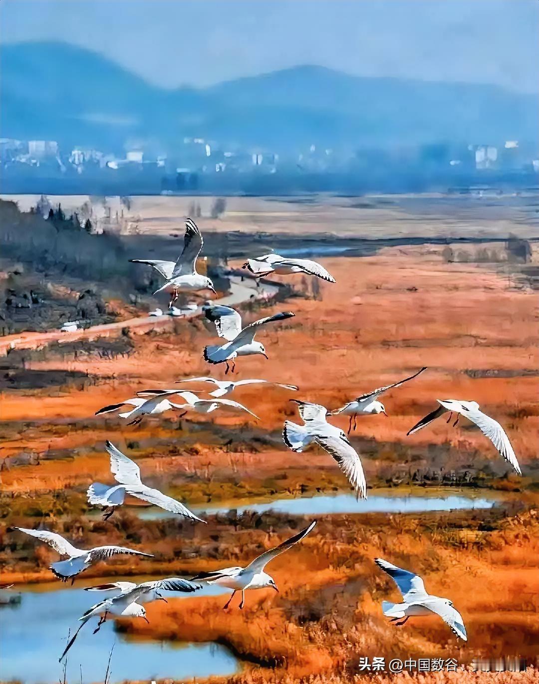 醒来一看威宁地震了


早晨迷迷糊糊看到威宁地震了，4.5级，希望家人们平平安安