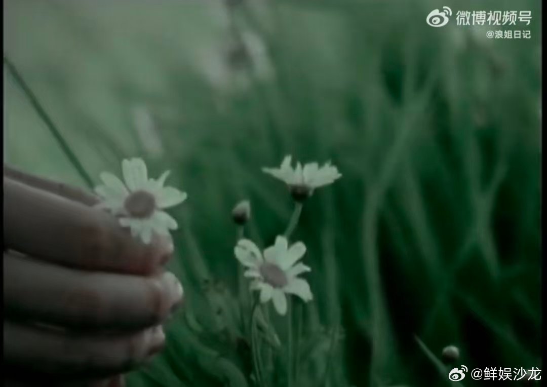 浪姐大合唱换歌了改成那些花儿乘风2026乘风2026大合唱曲目更新，经典《那些花