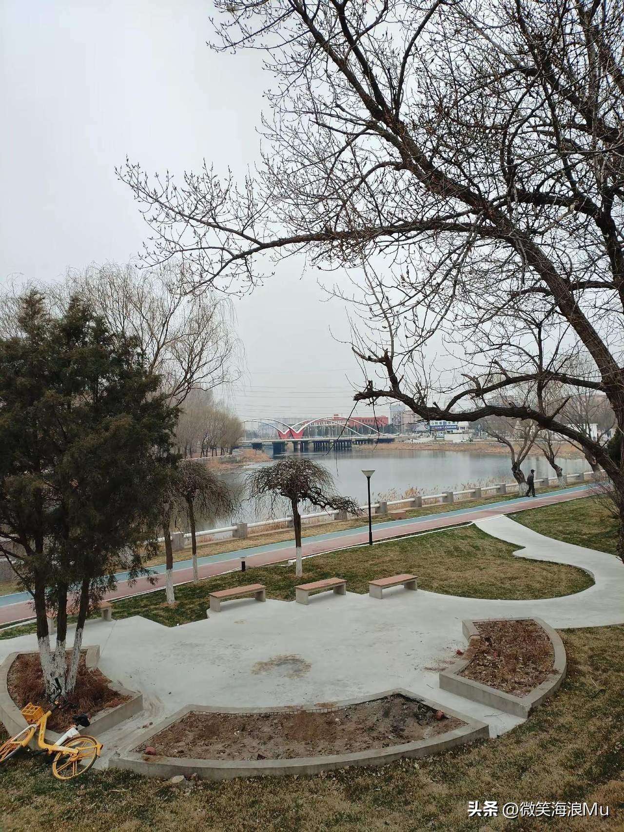 春天来了，乍暖还寒。但随后的气温马上就上升上来，看小花开了。