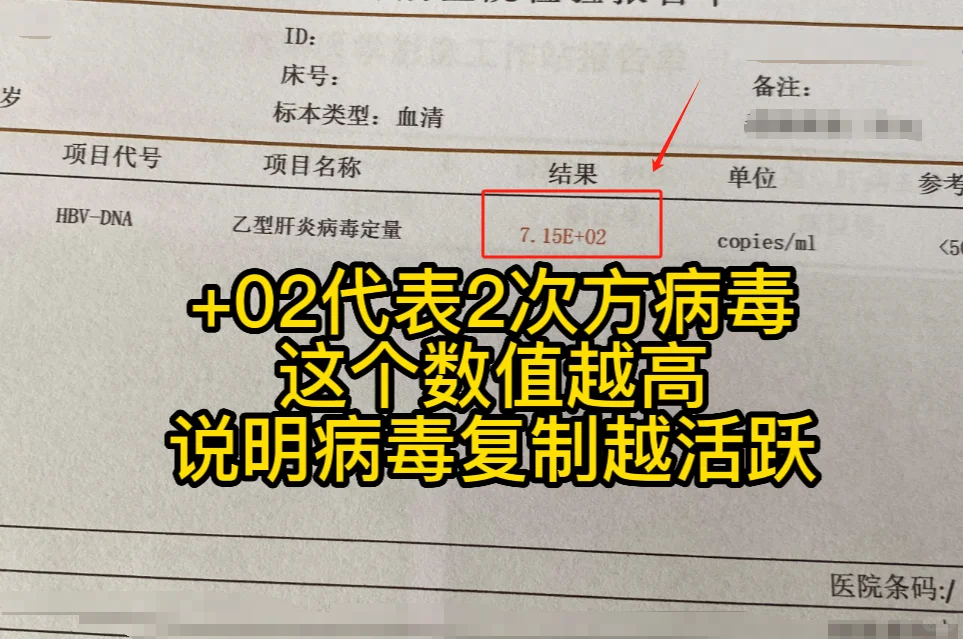 乙肝病毒量怎么看？