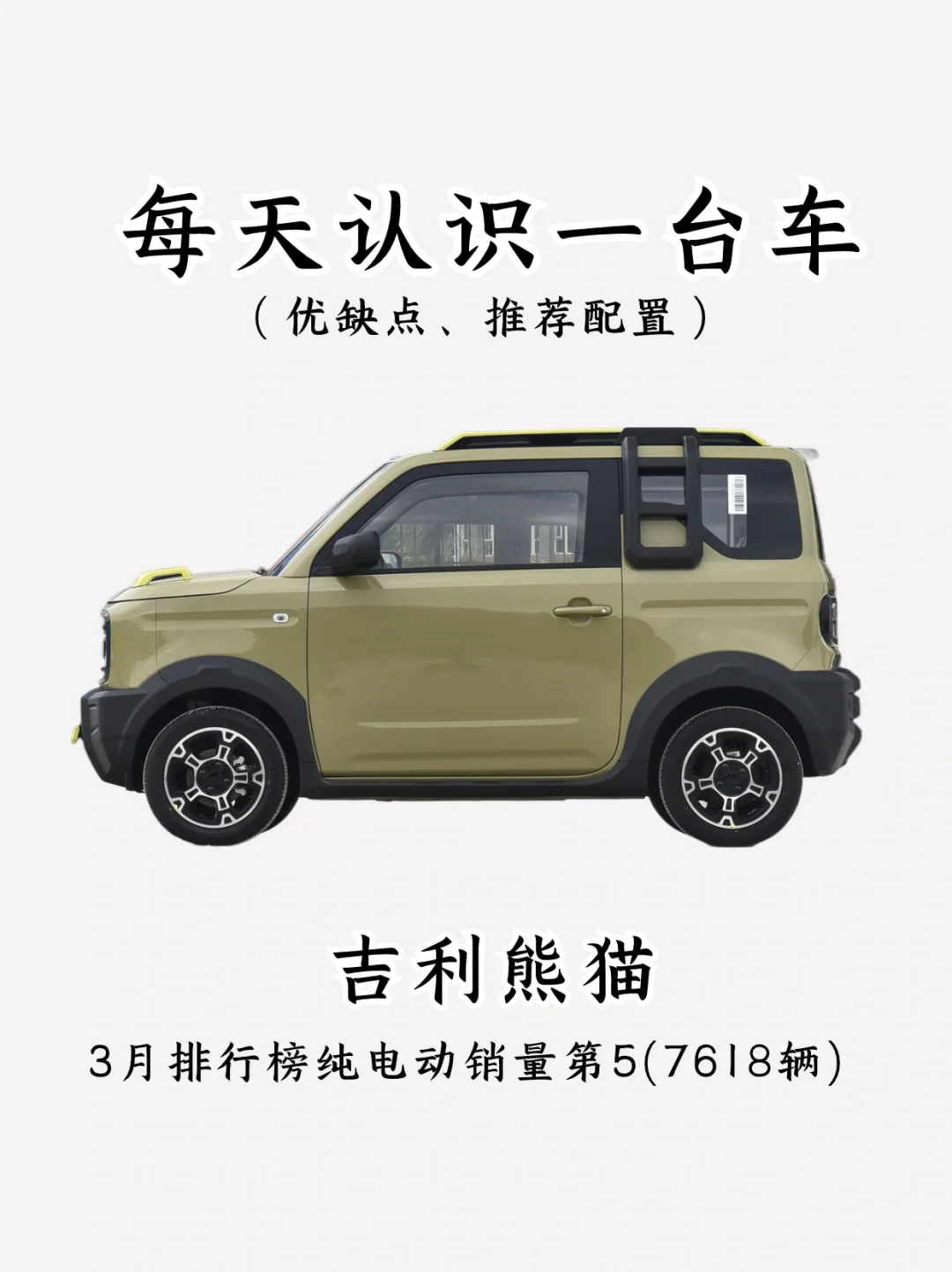 看完你还会买吉利熊猫吗⁉️