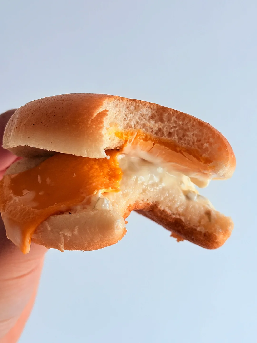 🇯🇵不er麦当劳🍔我麦香鱼的鱼呢