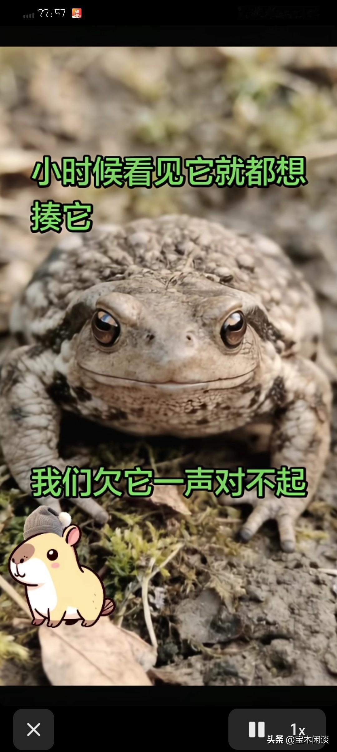 我们大多数人的童年，应该欠它一个道歉。它的学名应该叫“中华蟾蜍”，但我们常常对它