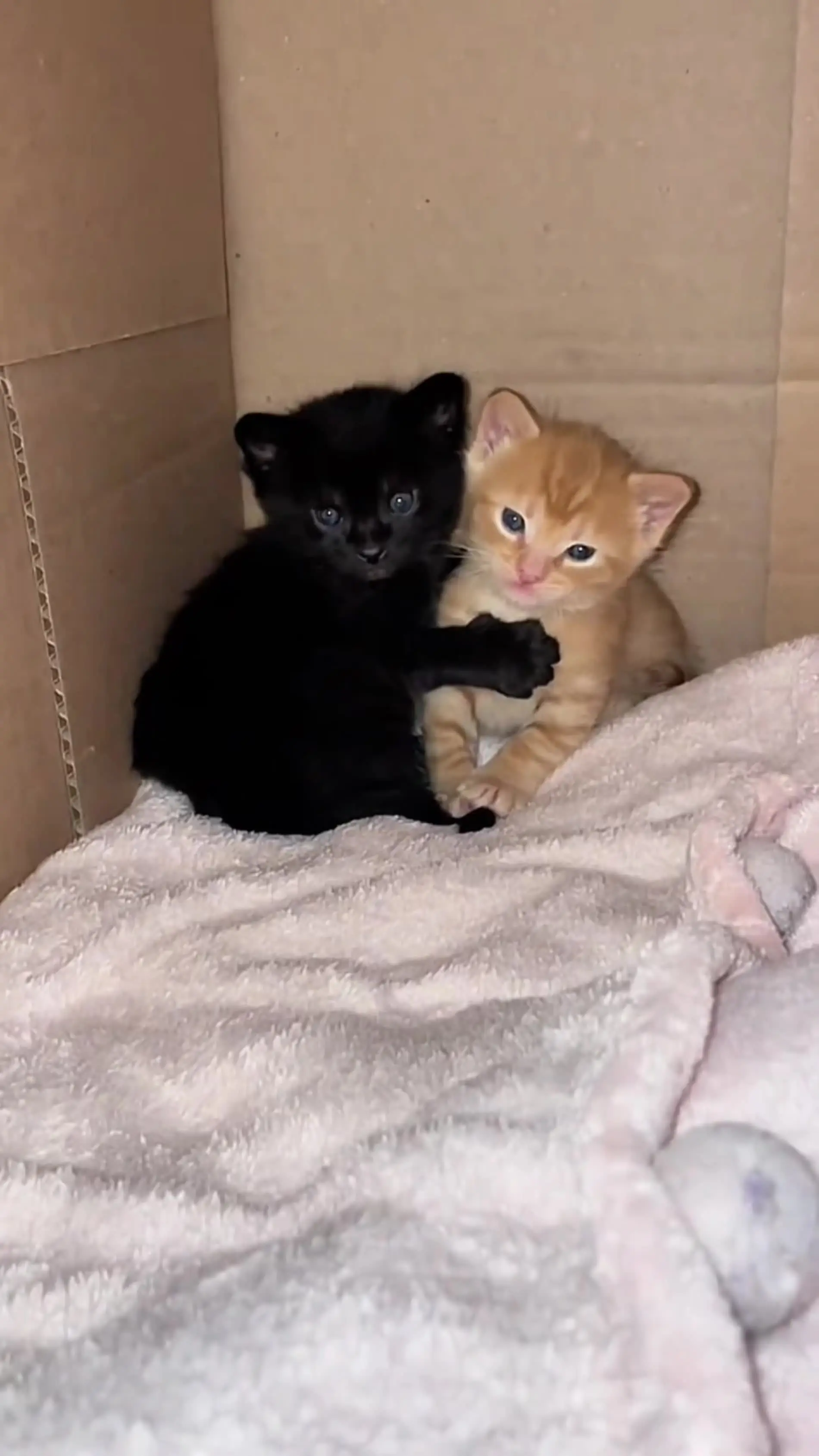 不要怕，有我在～