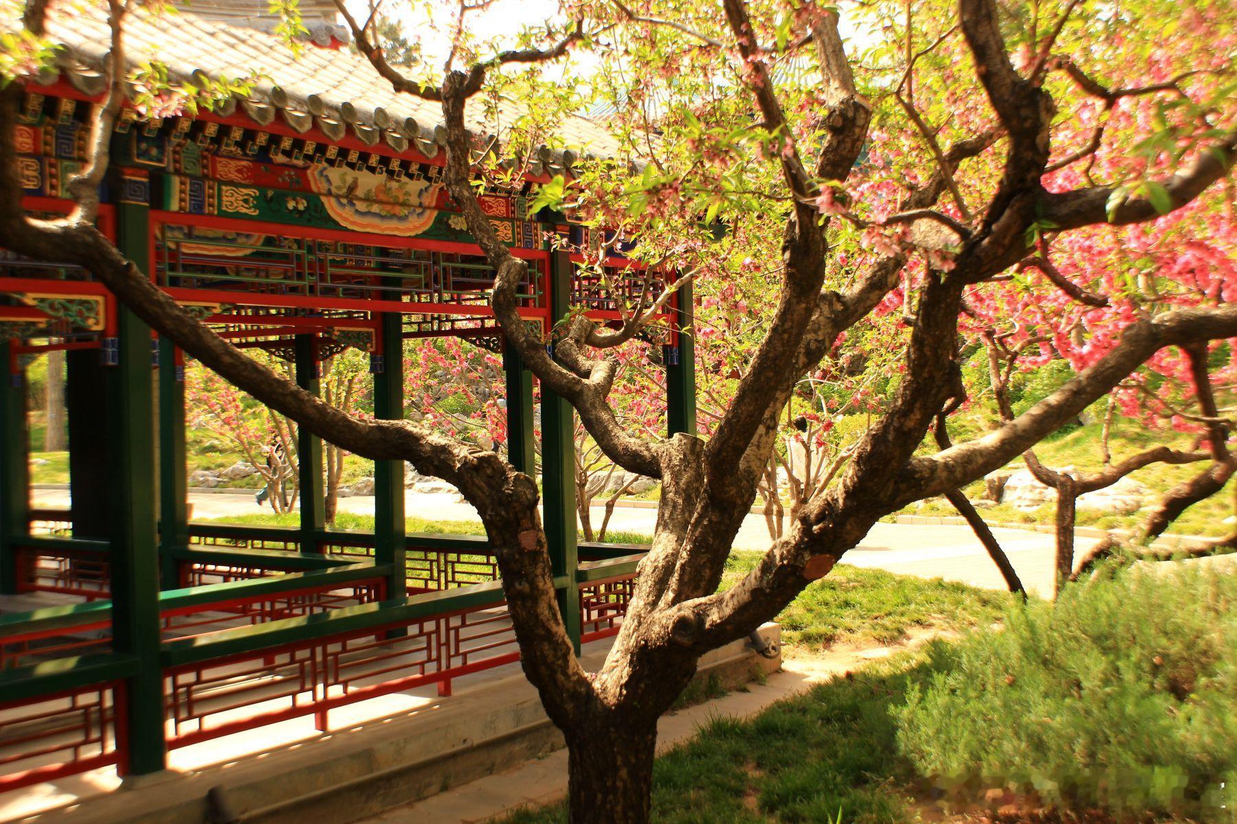 【股权激励遇冷，问题往往不在员工】核心观点：股权激励是双向奔赴，而非单向施予。员