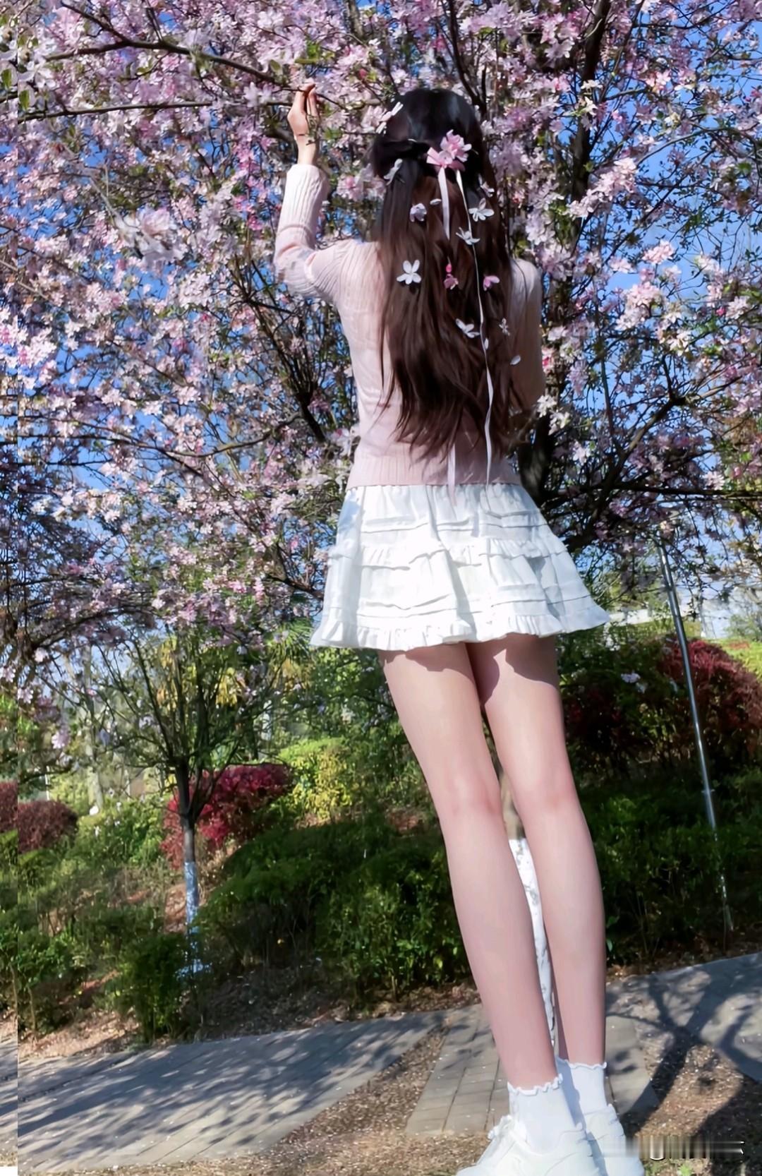 俏丽若三春之桃，清素若九秋之菊