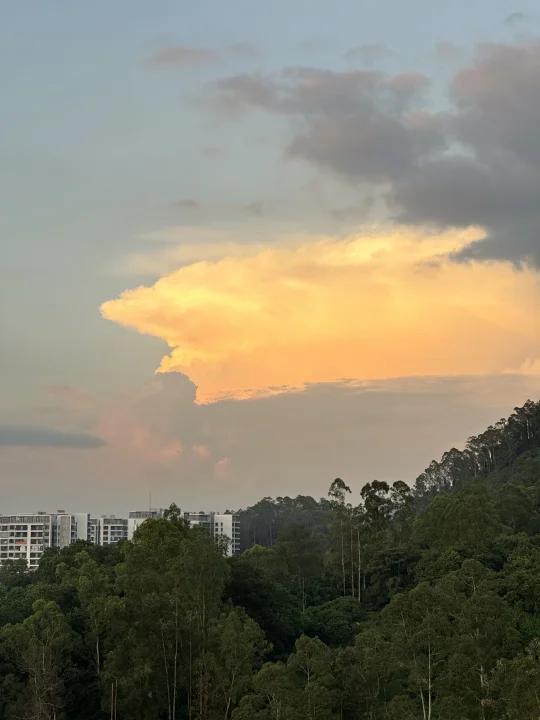 記得抬頭看看天空🌄