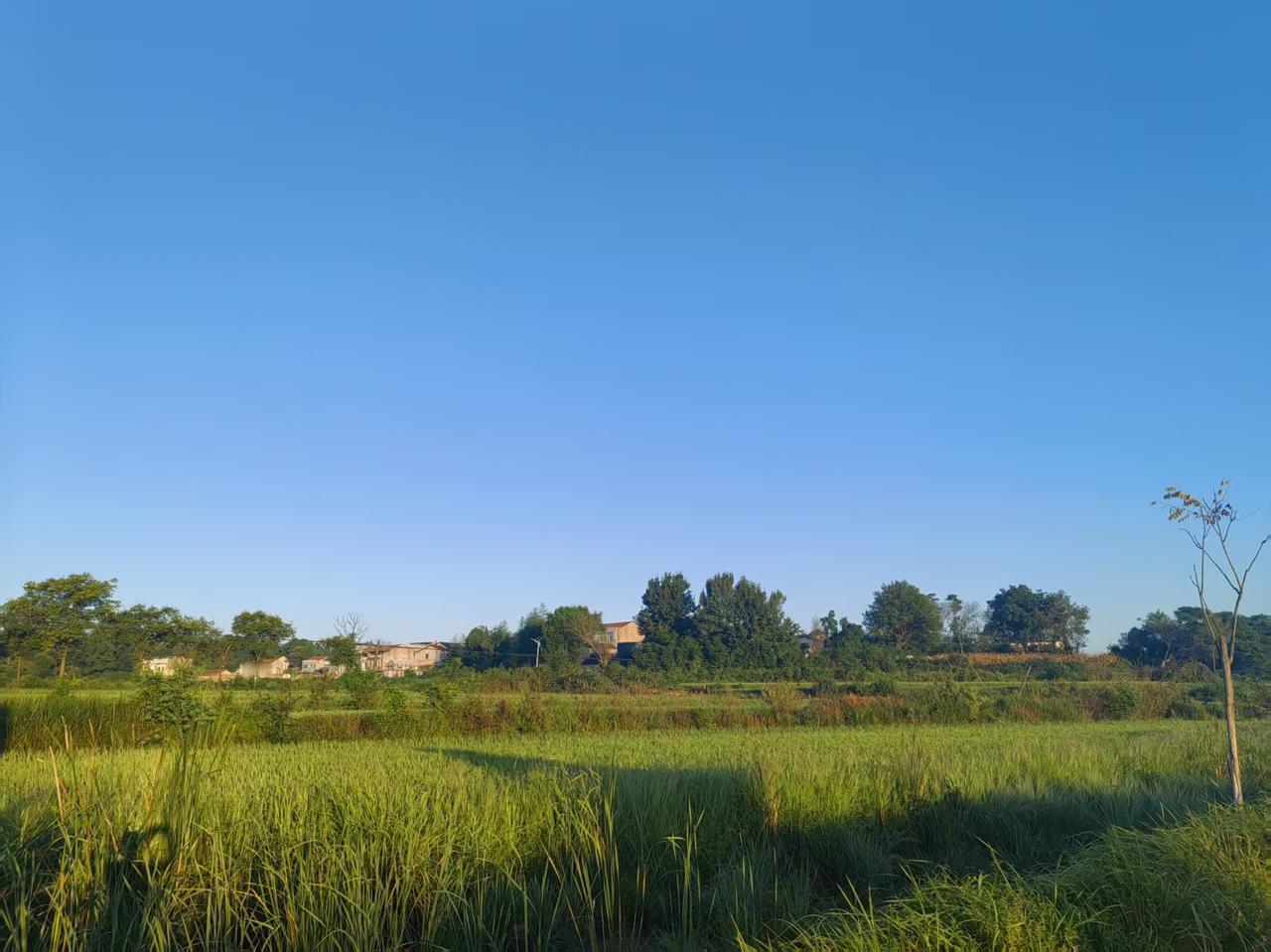 你能分享一下一些田园风光的图片吗乡村美景风光照 田园自拍风景