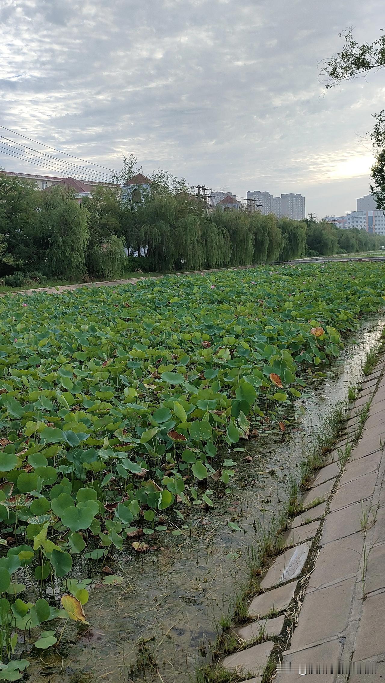 都说社会在发展，人类文明在进步，我觉得当下的社会并不是想象中的文明，好像太多太多