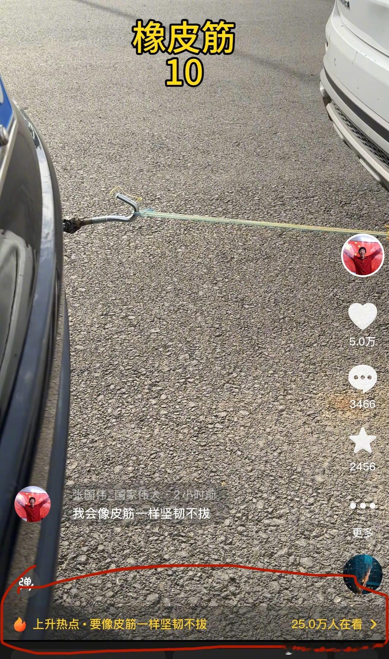 坚韧不拔 ​​​