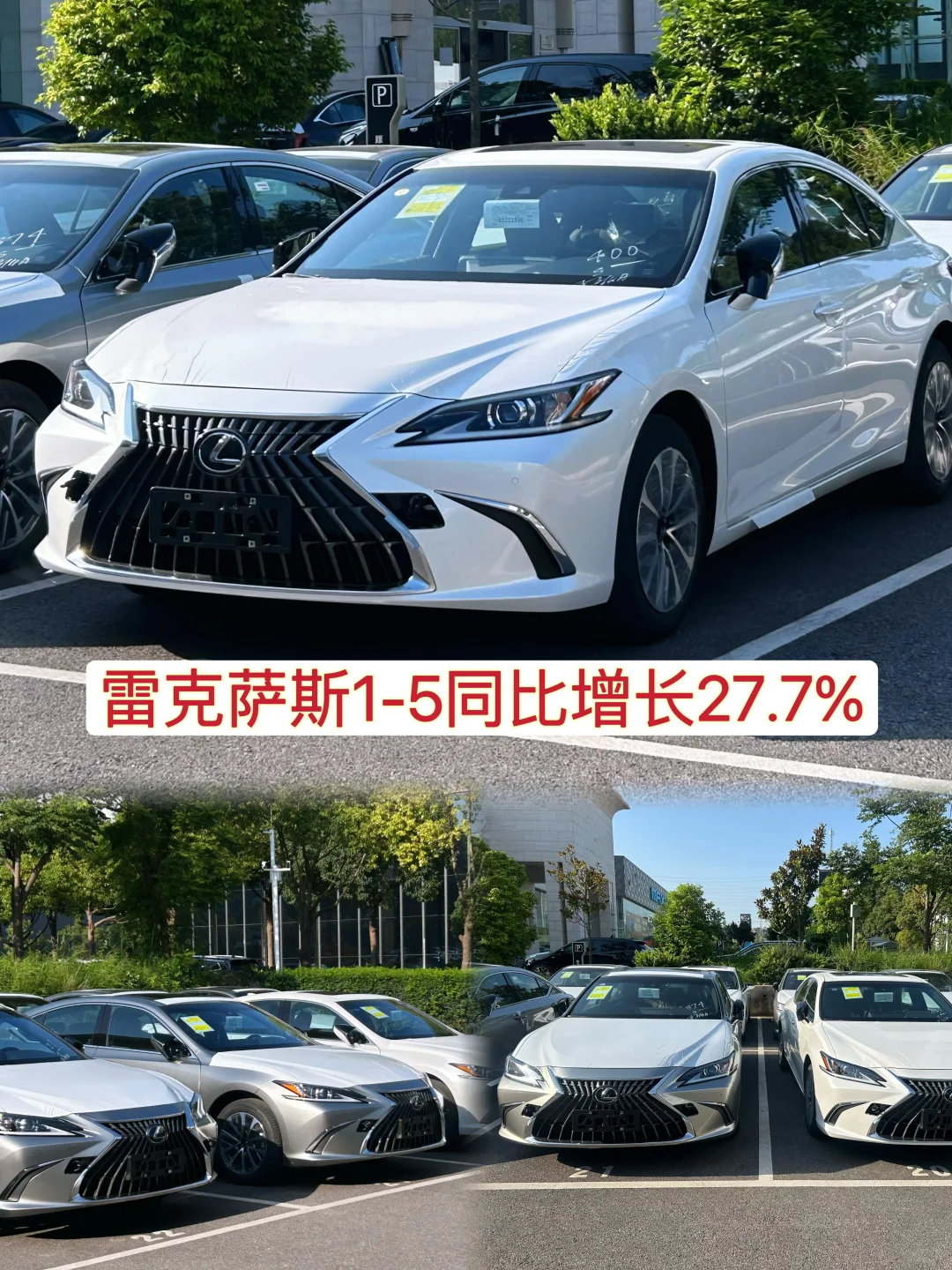 雷克萨斯销量同比大涨？？？？