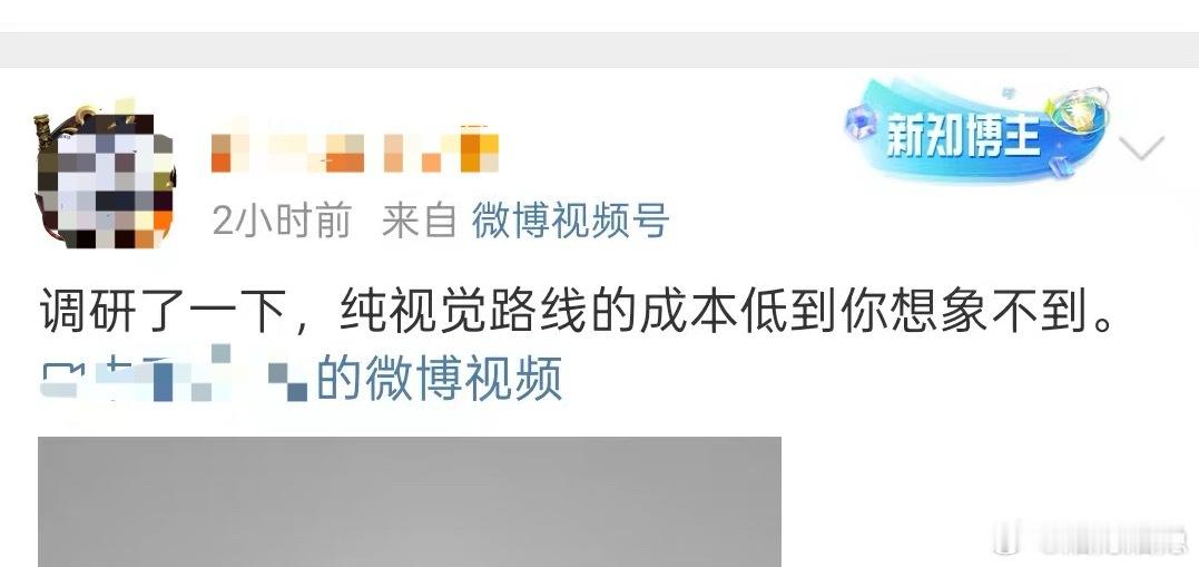 有博主发了个所谓的调研视频，用摄像头的成本来论述纯视觉路线的成本低到你想象不到。