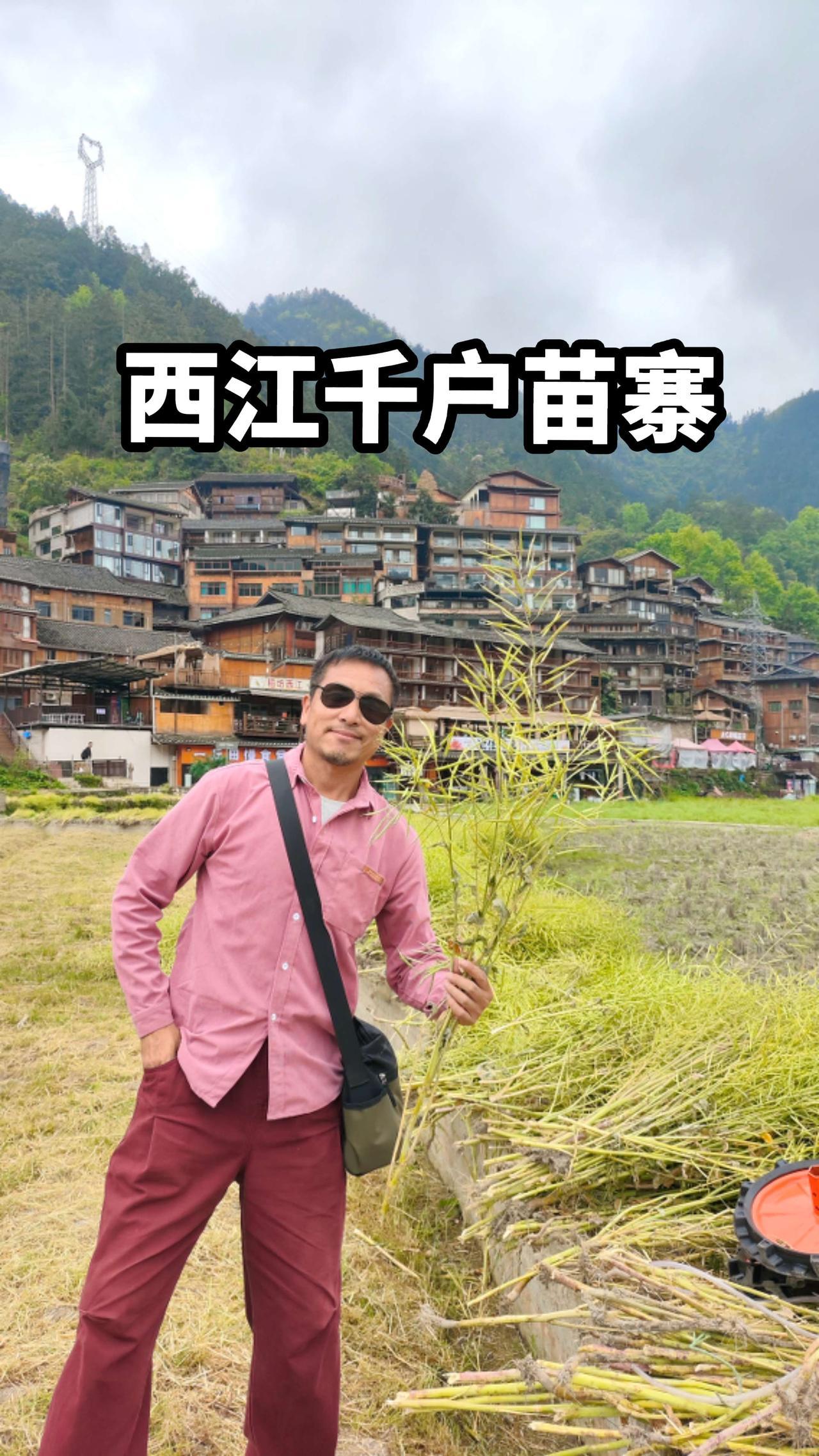 西江千户苗寨位于贵州省黔东南州雷山县，是全世界最大的苗族聚居村寨，99.5%的居