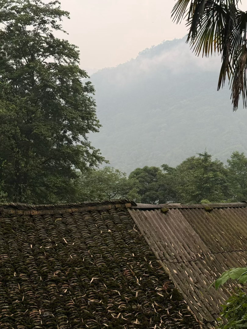 在山里厌世的两天 