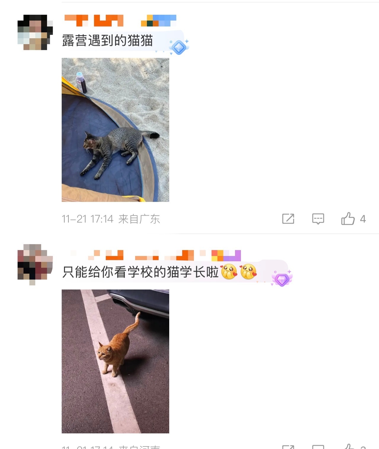 这是什么童话照进现实！昊然刚伸出友谊之手，全世界的爪子尾巴翅膀都来击掌。建议开发