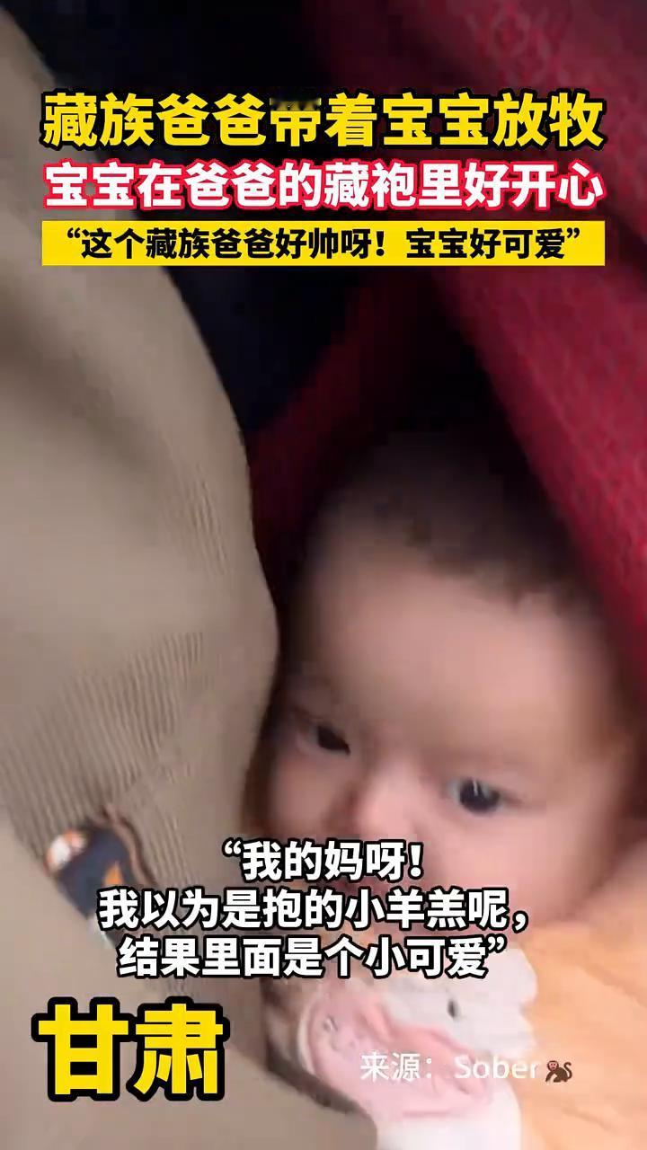 藏族爸爸带着宝宝放牧，宝宝在爸爸的藏袍里好开心。
来源：Sober。
这个藏族爸