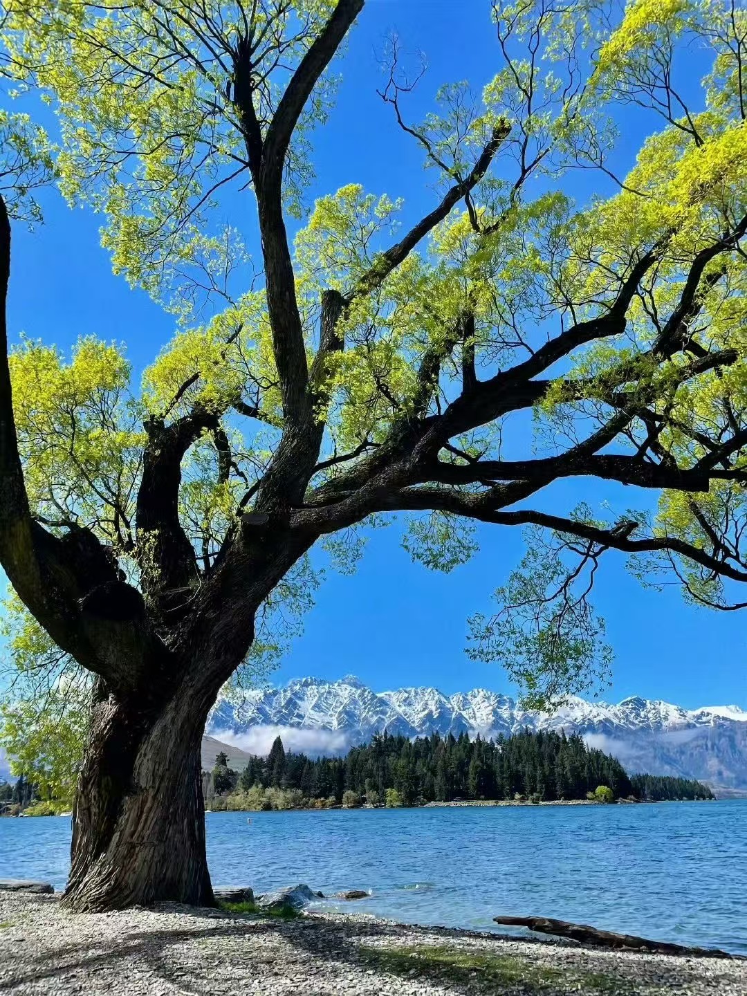 年轻人的出行偏好有多真实晕车跻身打车需求第四位，妥妥照见年轻人的出行追求，不再只