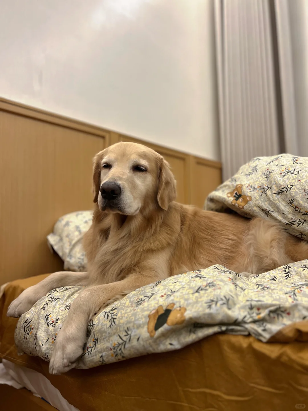 合肥小狗自驾川西第二站——新都桥