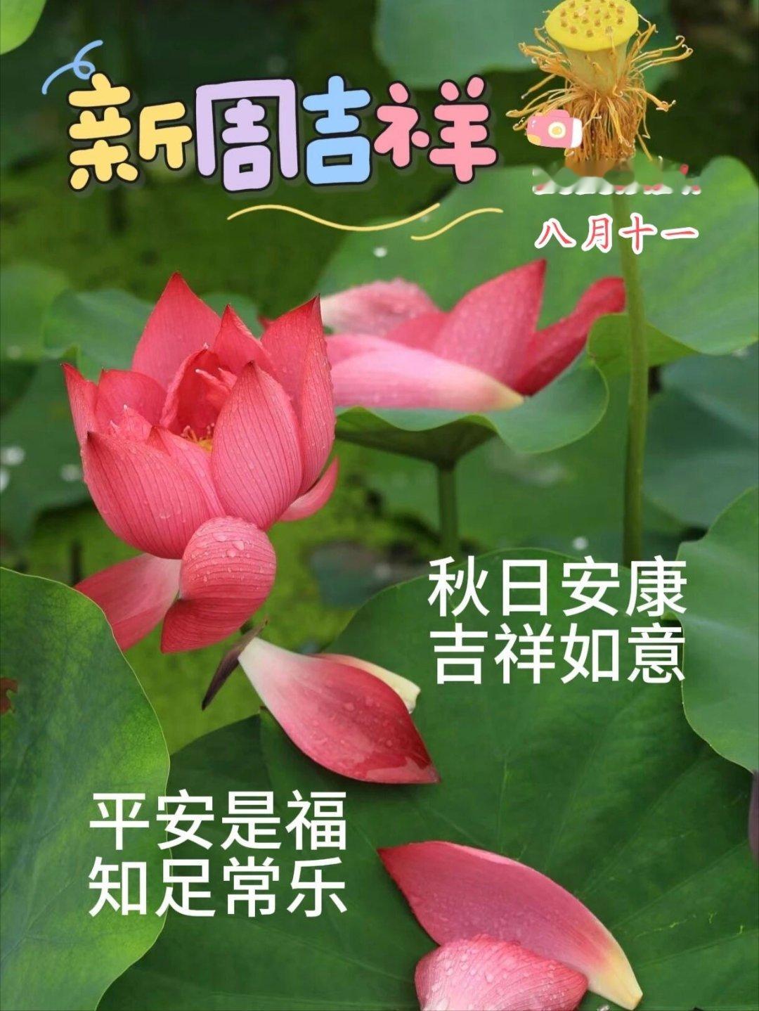 【健康养生🌹】1）控糖”不是不吃主食。主食中富含的碳水化合物是人体重要的能量来