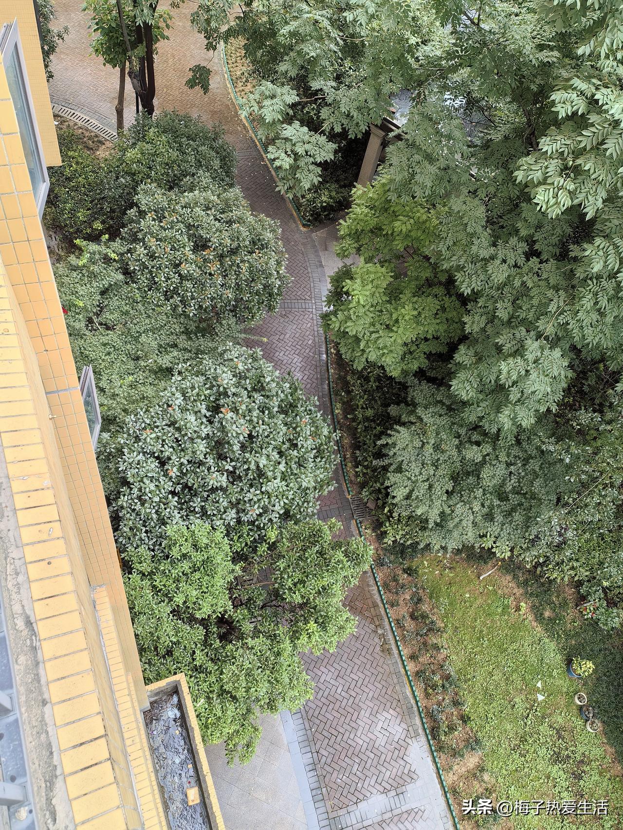 我认为诸葛亮，他忠义无双、智计超群，是理想的贤臣典范。一生鞠躬尽瘁，品行、谋略、