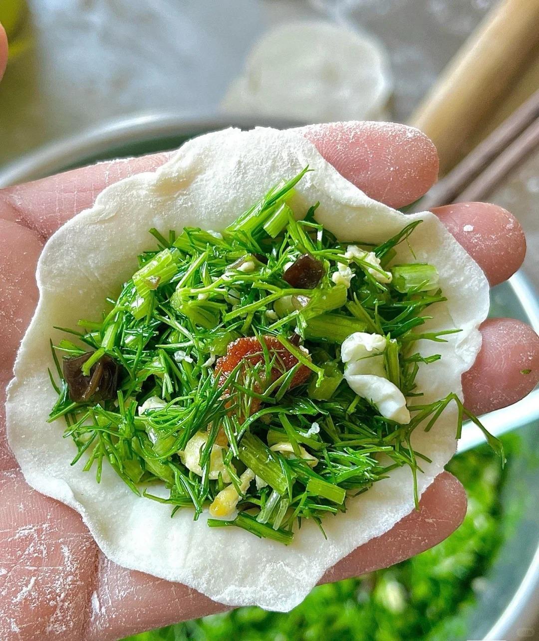 广东人第一次吃茴香饺子，香迷糊了
南方的朋友们，饺子都吃过吧，茴香馅的你们尝过吗