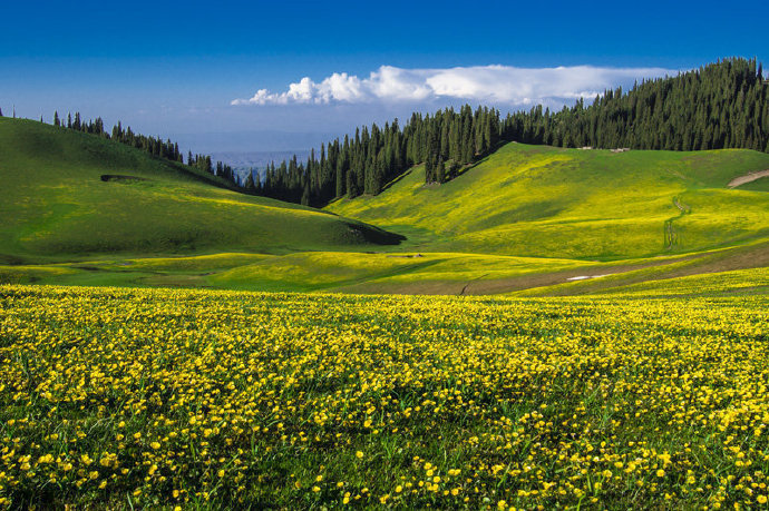 新疆鲜为人知的净土仙境，塔里木吉尔格郎。 ​ ​​​