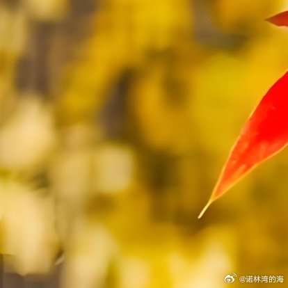 步履不停，星光自会奔赴而来。不必焦虑当下的平凡，每一份默默坚持都在积蓄力量。认真