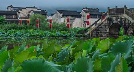 今天咱们不聊那些虚头巴脑的排名，也不画大饼。就实实在在唠一所安徽本土的硬核学校—