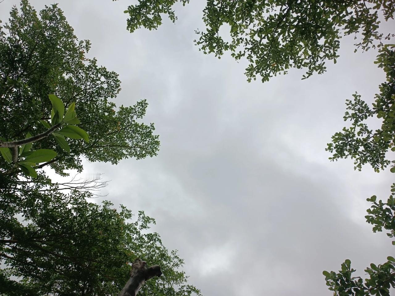 随手一拍
美丽动人
今天下雨了～
[爆竹][爆竹]