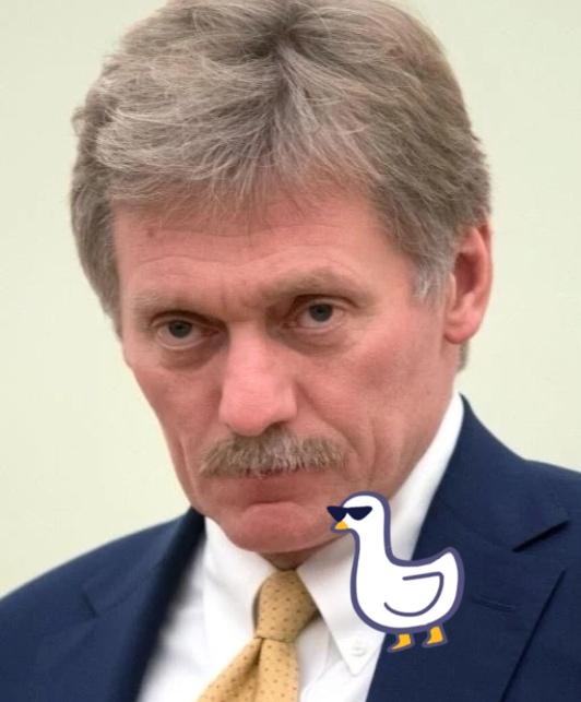 就在刚刚
俄罗斯总统秘书宣布
11月5日，俄罗斯总统新闻秘书佩斯科夫在简报会上宣