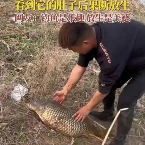 在这个快节奏的时代，我们似乎习惯了“看见即占有”，但这位哈尔滨钓友在松花江边的一
