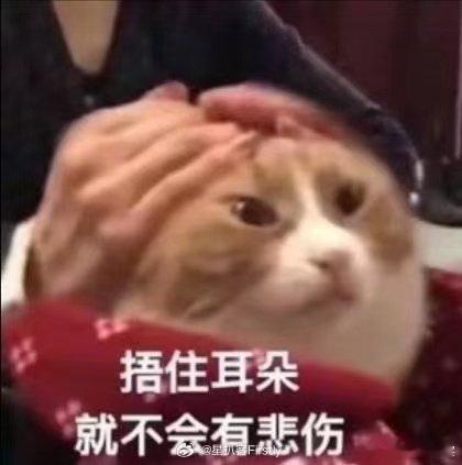 papi酱该补牙了本来专心看视频内容，结果被网友提醒后越看越明显，papi 酱真