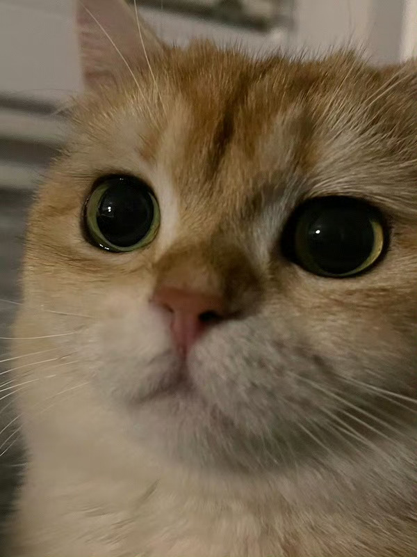 玩加夜话 大家晚上爱吃什么夜宵呢？英雄联盟