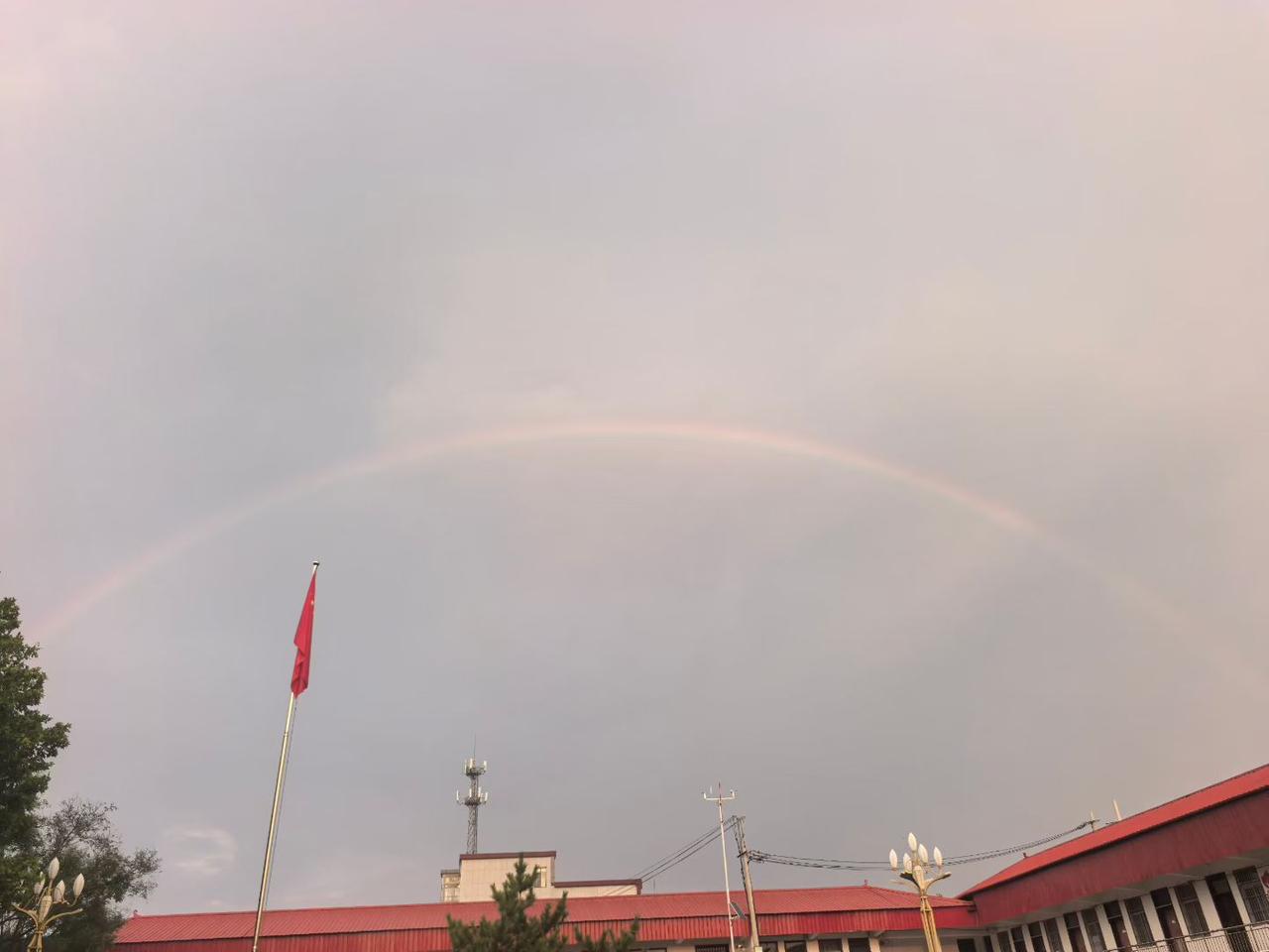 2026年8月16日下午，雨后拍摄于曹县楼庄镇政府