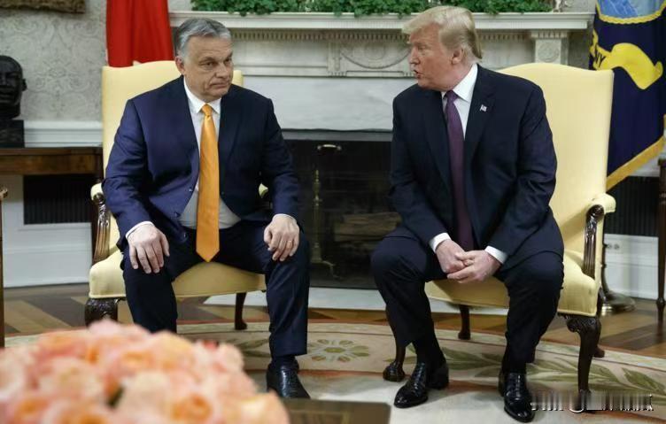 这就是欧尔班力扛欧盟的底气。12月9日，匈牙利总理欧尔班应特朗普邀请，在海湖庄园