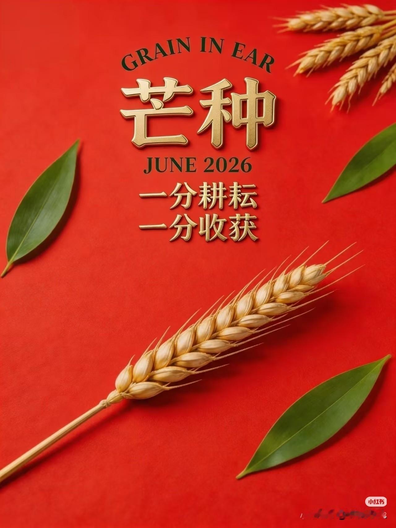 一分耕耘，一分收获