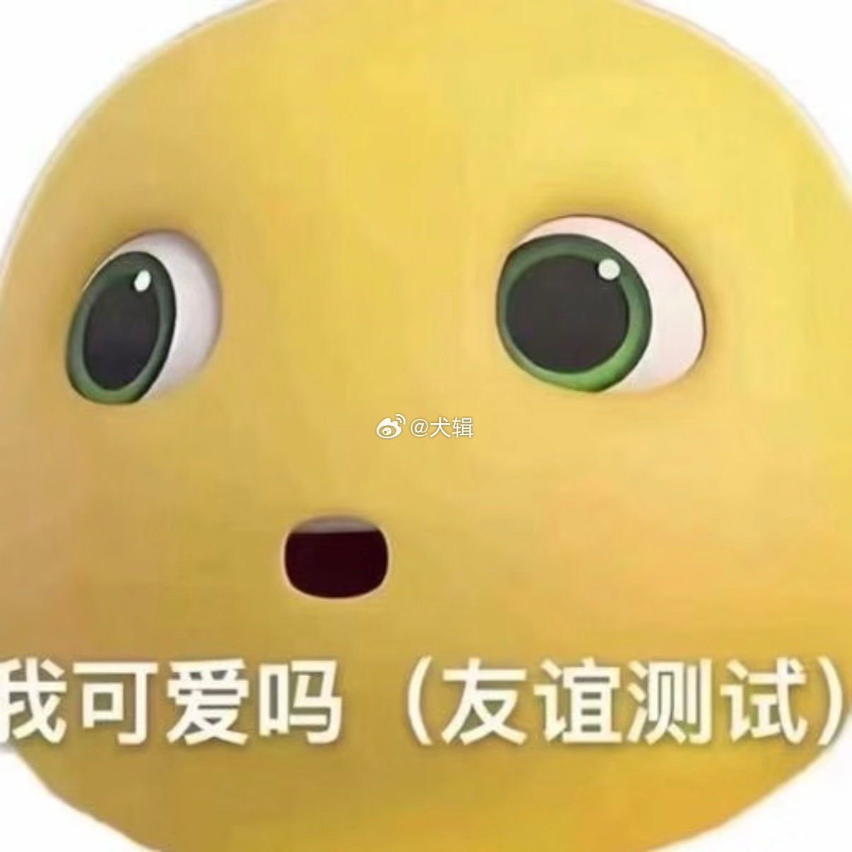 分享图片 